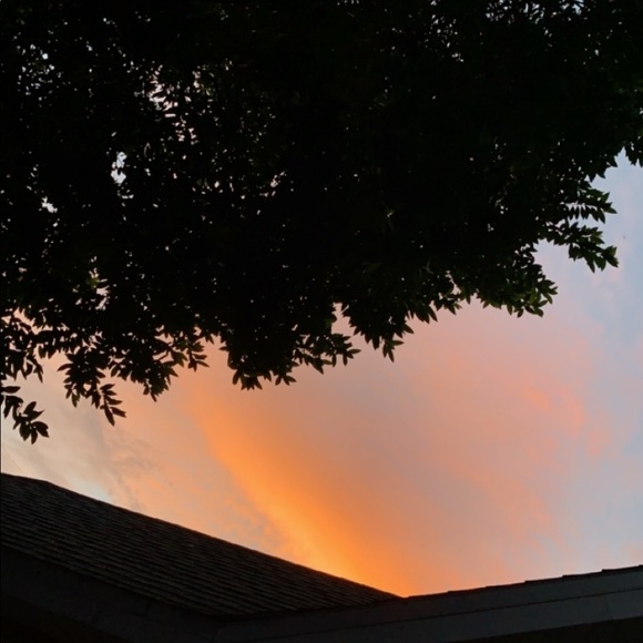 Meet your Posher, Dylan - Picture 1 of 1